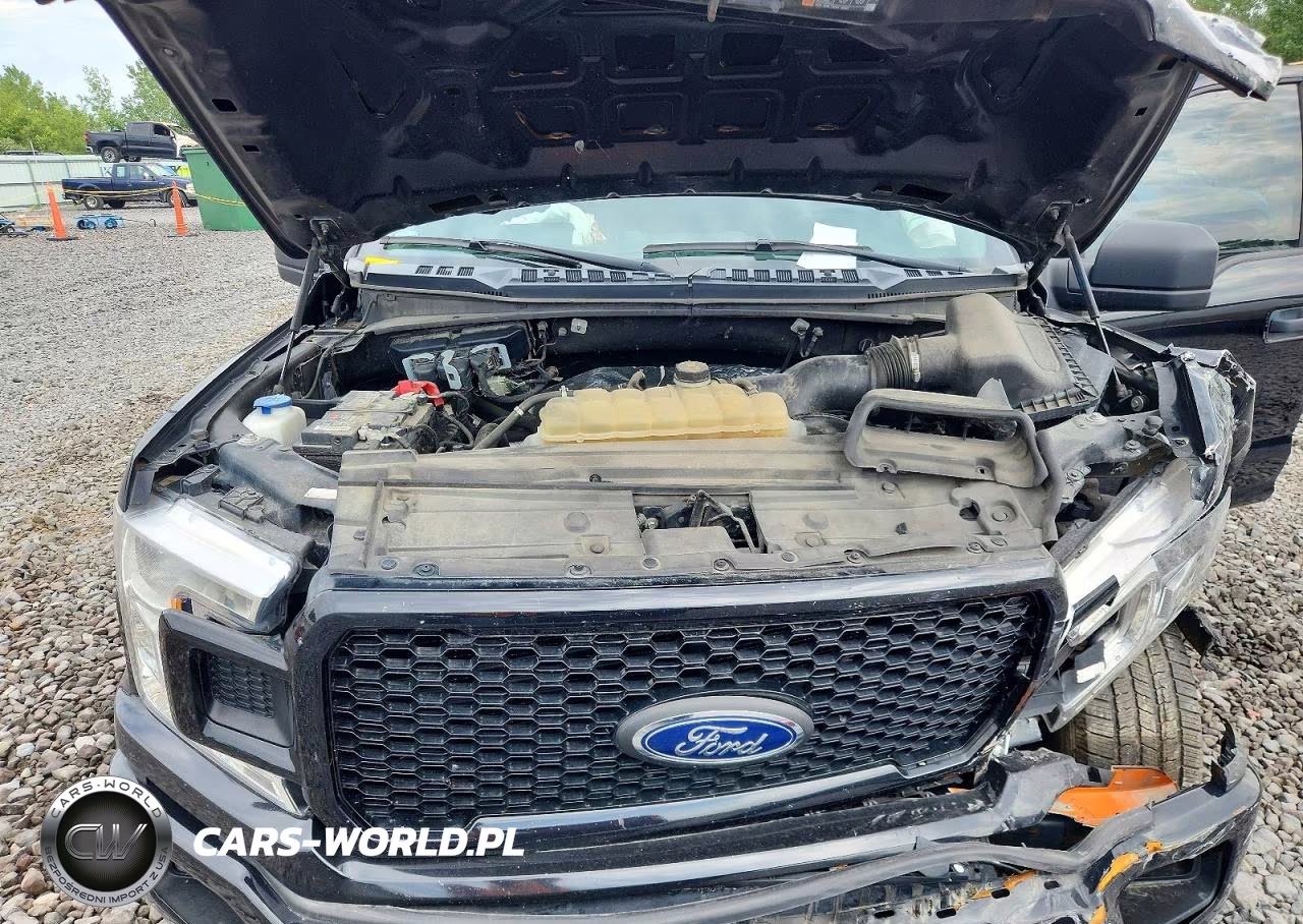 2019 Ford F150 Supercrew VIN:1FTEW1CP3KKE45178 - 11