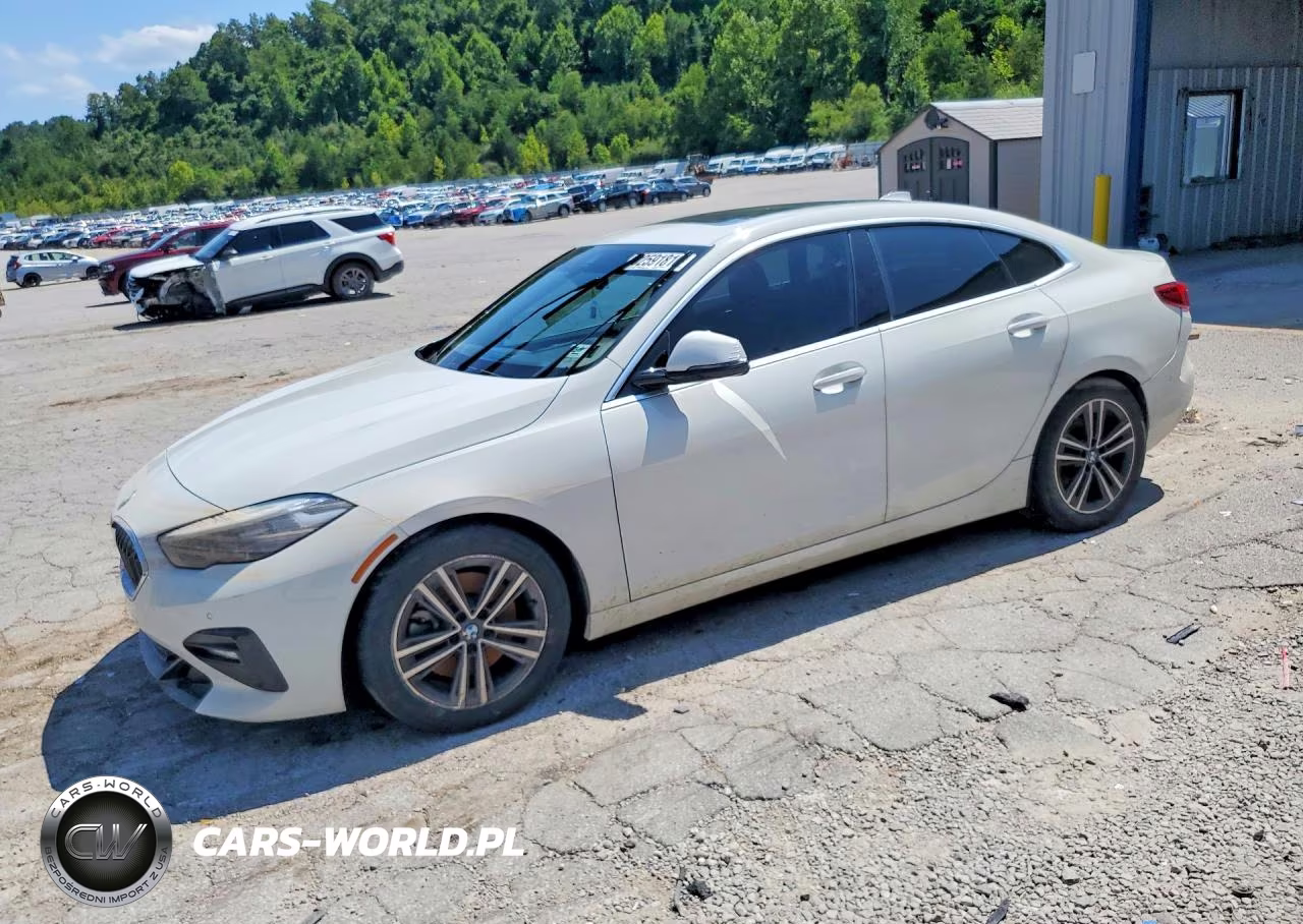 2020 BMW 228Xi