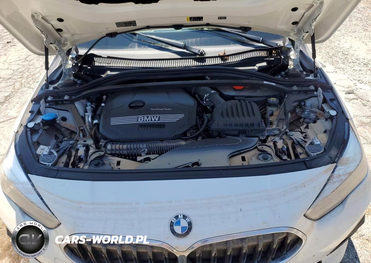 2020 BMW 228Xi VIN:WBA73AK0XL7F50214 - 11