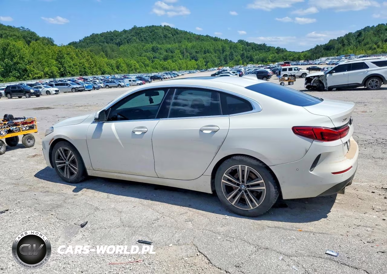2020 BMW 228Xi VIN:WBA73AK0XL7F50214 - 2