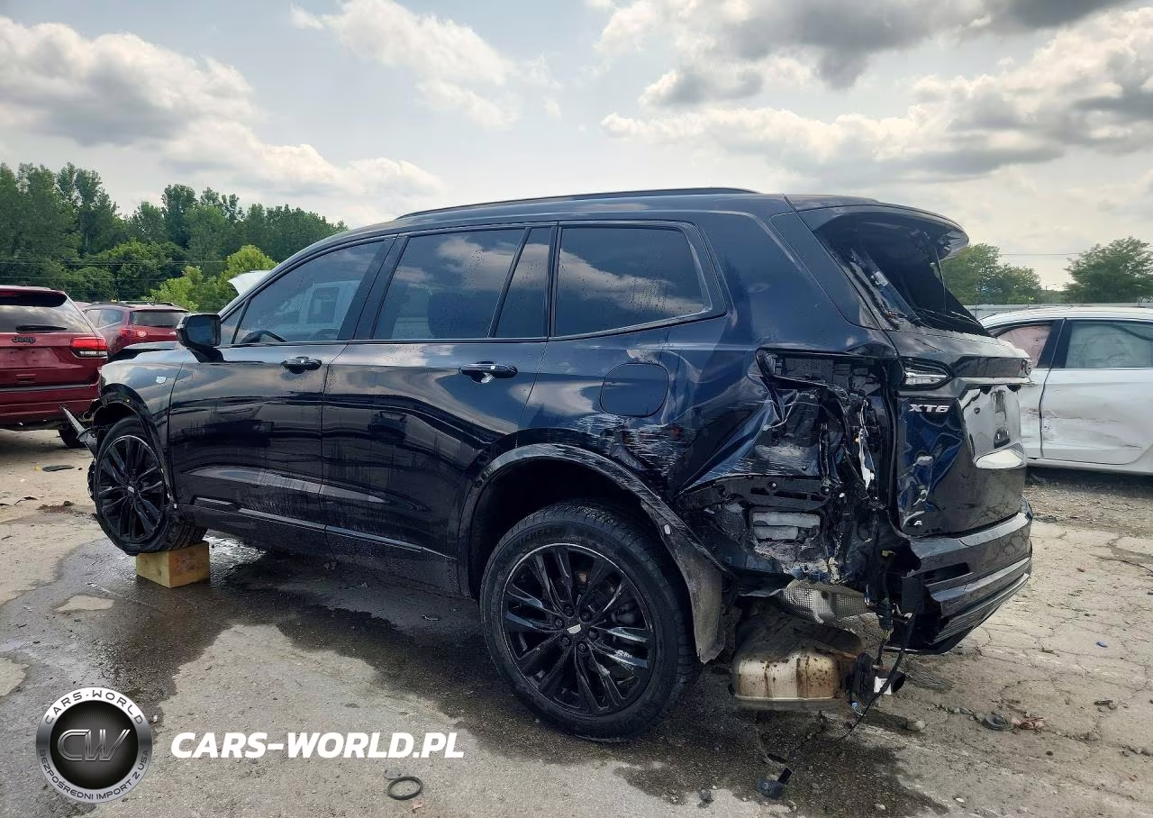 2021 Cadillac Xt6 VIN:1GYKPGRSXMZ204950 - 2