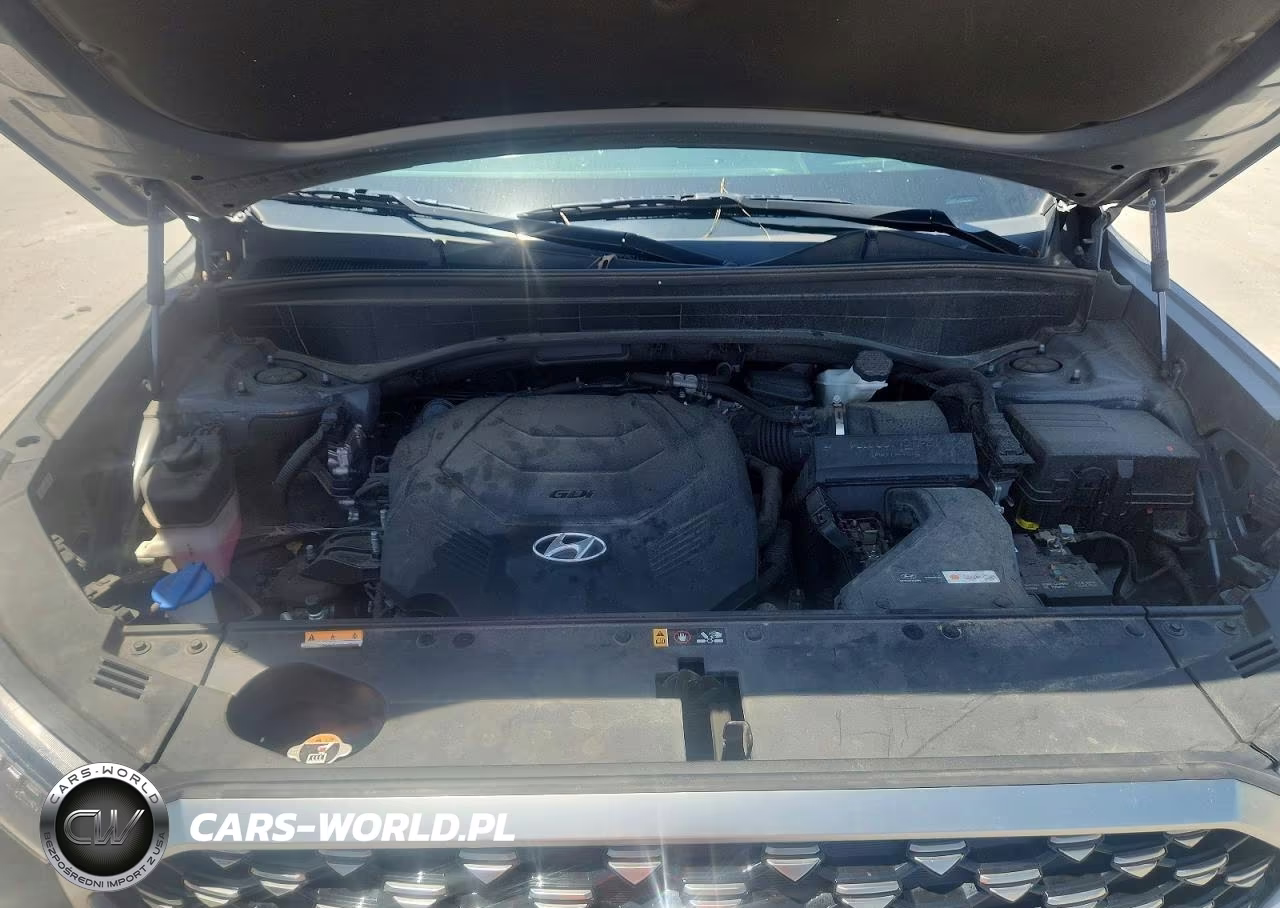 2022 Hyundai Palisade Calligraphy VIN:KM8R74HE5NU451544 - 12