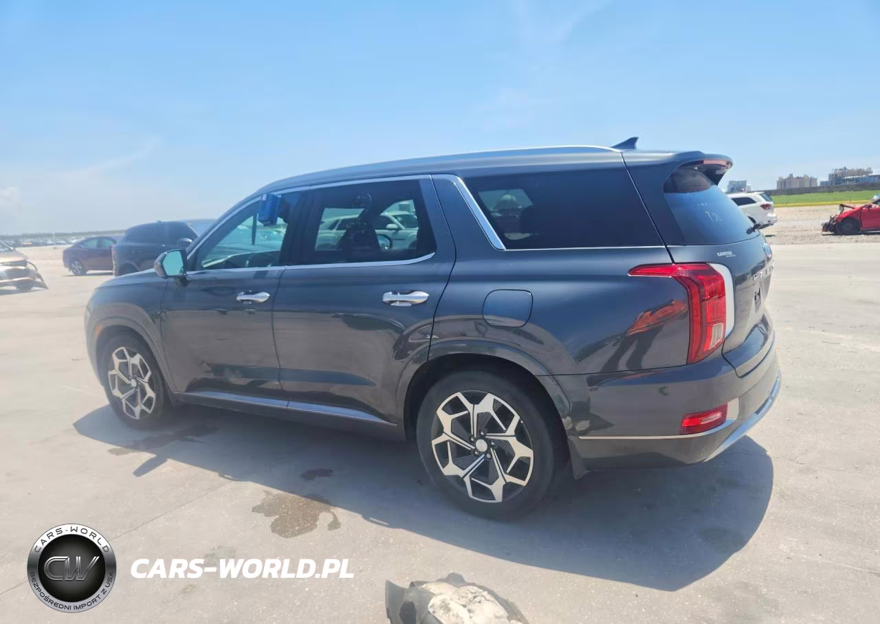 2022 Hyundai Palisade Calligraphy VIN:KM8R74HE5NU451544 - 2