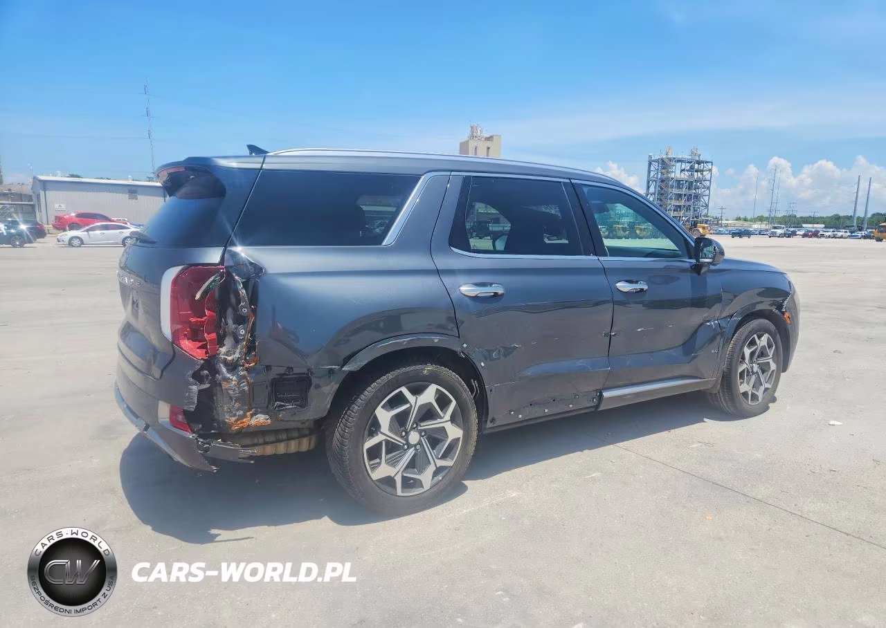 2022 Hyundai Palisade Calligraphy VIN:KM8R74HE5NU451544 - 3