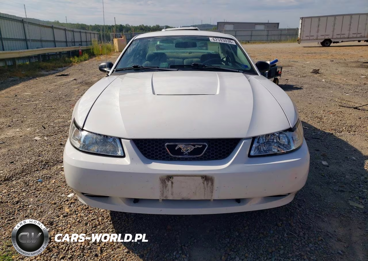2004 Ford Mustang Base VIN:1FAFP40614F145848 - 5