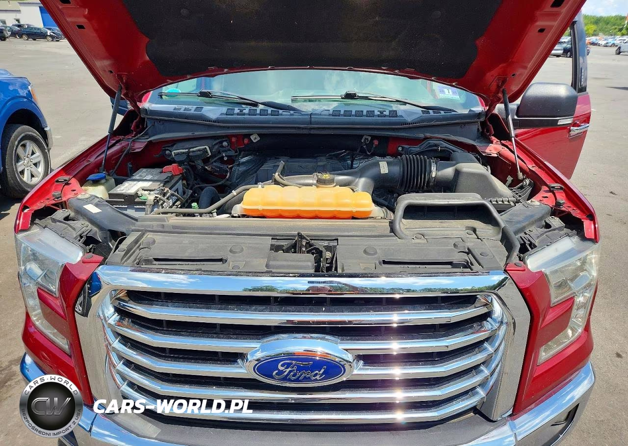 2017 Ford F150 Supercrew VIN:1FTEW1EP8HFA68698 - 11