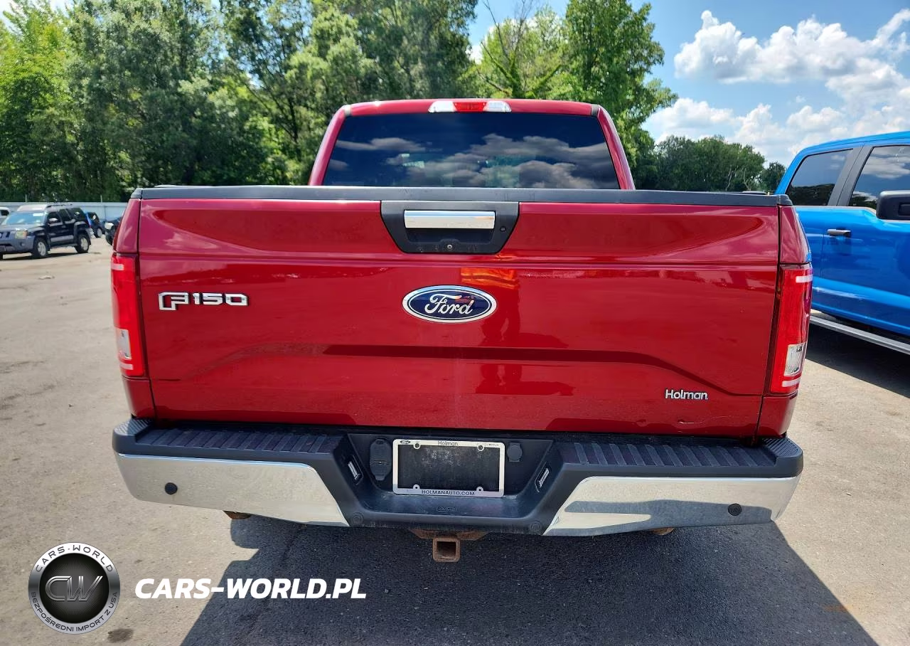 2017 Ford F150 Supercrew VIN:1FTEW1EP8HFA68698 - 6