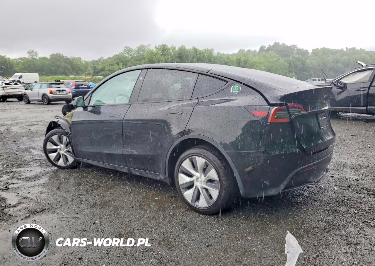 2023 Tesla Model Y VIN:7SAYGDEE3PA184355 - 2