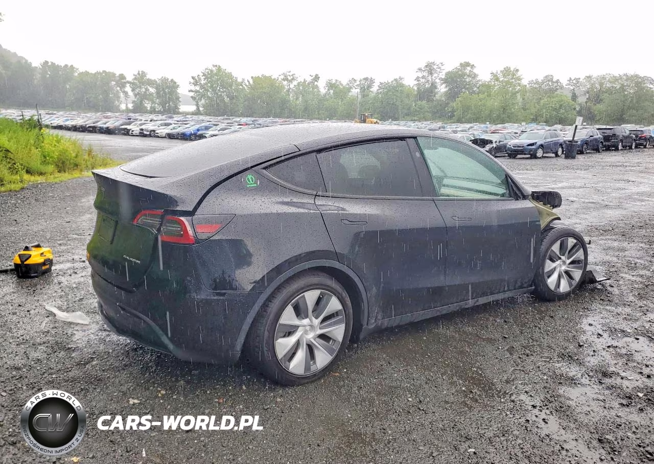 2023 Tesla Model Y VIN:7SAYGDEE3PA184355 - 3
