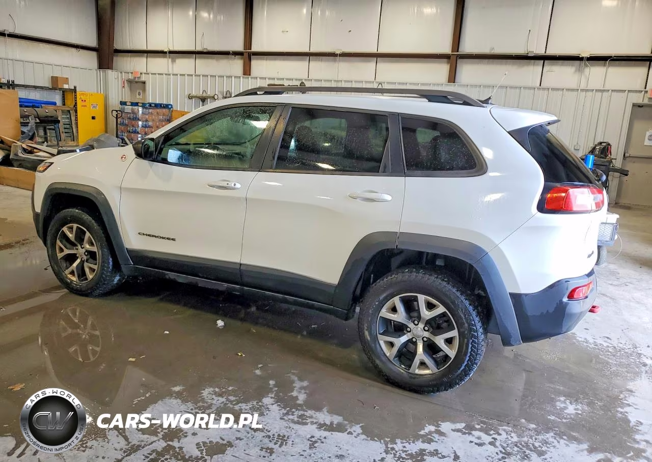 2014 Jeep Cherokee Trailhawk VIN:1C4PJMBS5EW308450 - 2