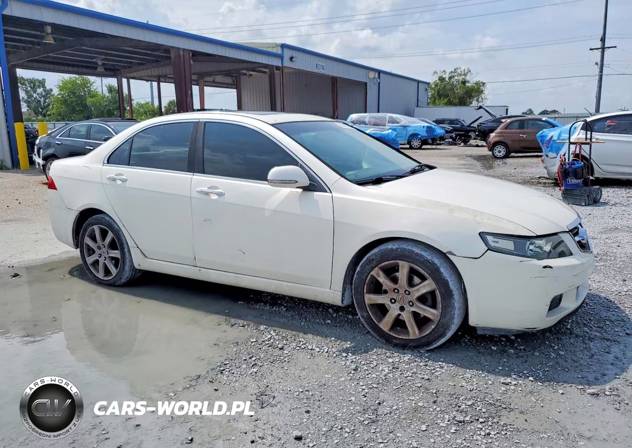 2004 Acura Tsx VIN:JH4CL96914C003295 - 4