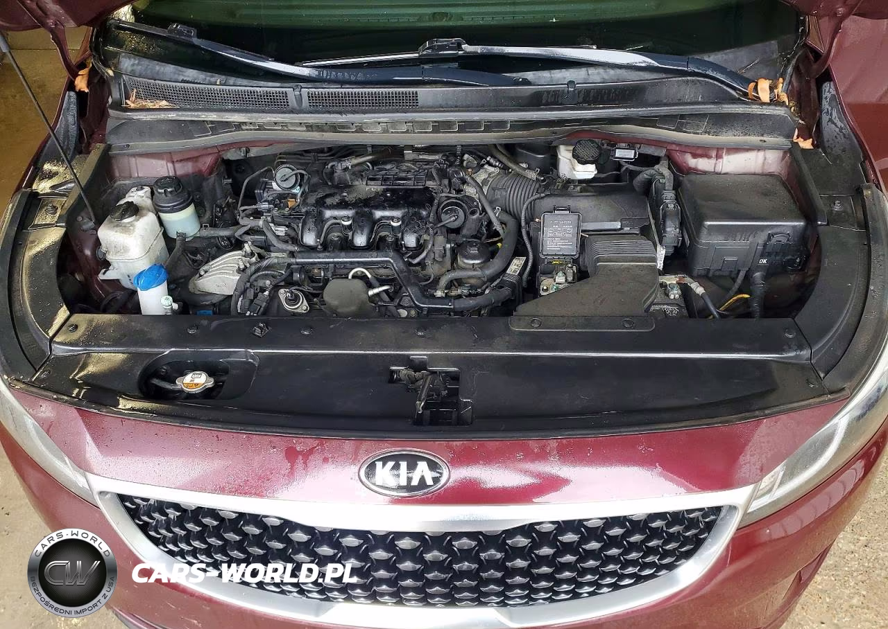 2016 Kia Sedona Lx VIN:KNDMB5C1XG6199112 - 12