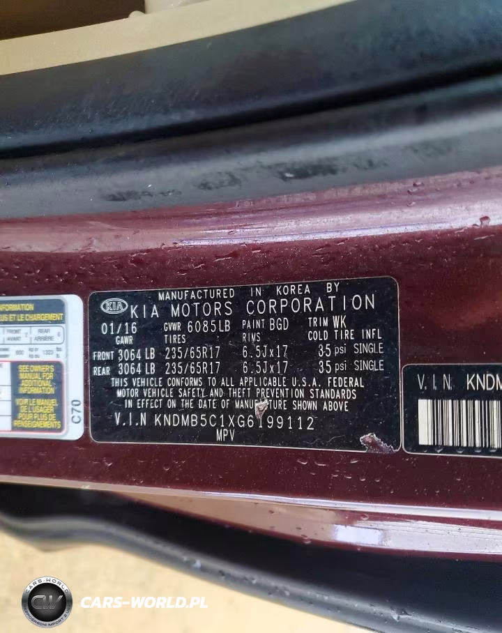 2016 Kia Sedona Lx VIN:KNDMB5C1XG6199112 - 13