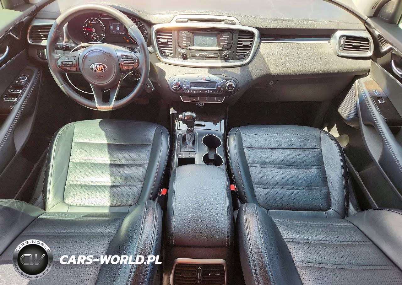 2016 Kia Sorento Ex VIN:5XYPH4A54GG157883 - 8