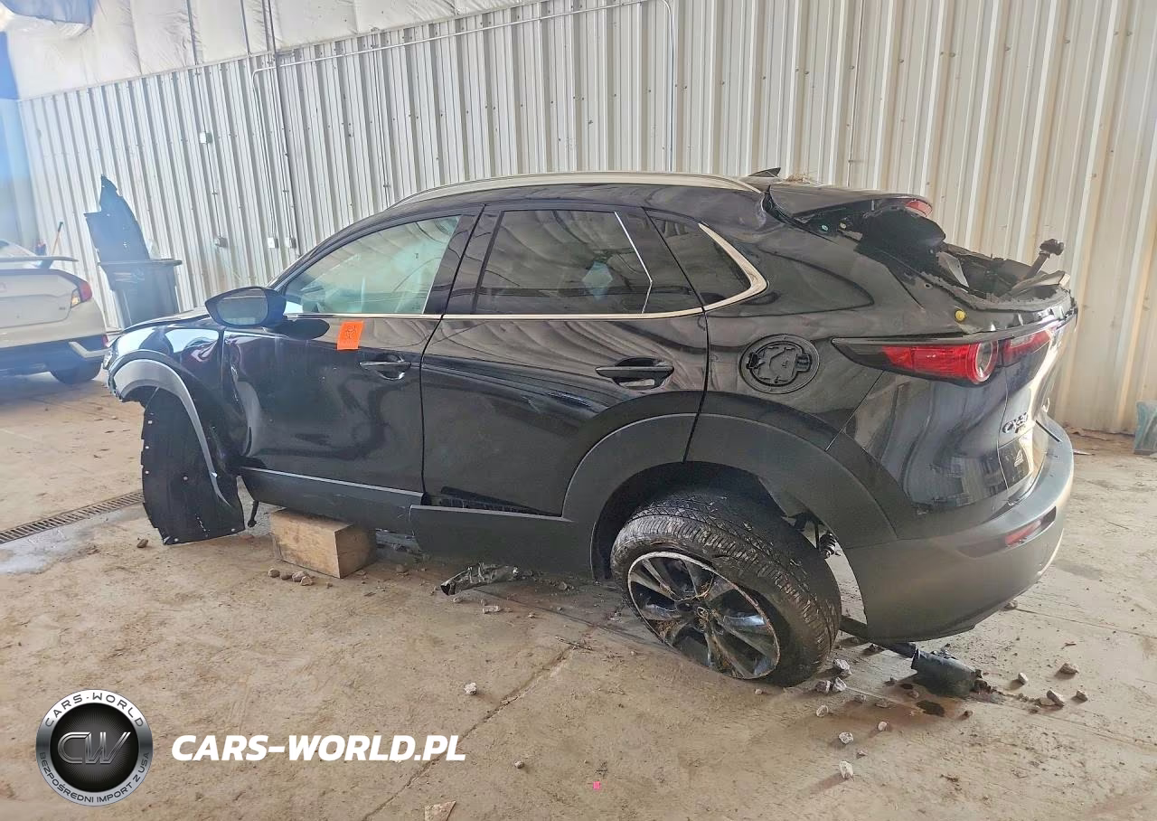 2021 Mazda Cx-30 Premium Plus VIN:3MVDMBEY1MM254060 - 2
