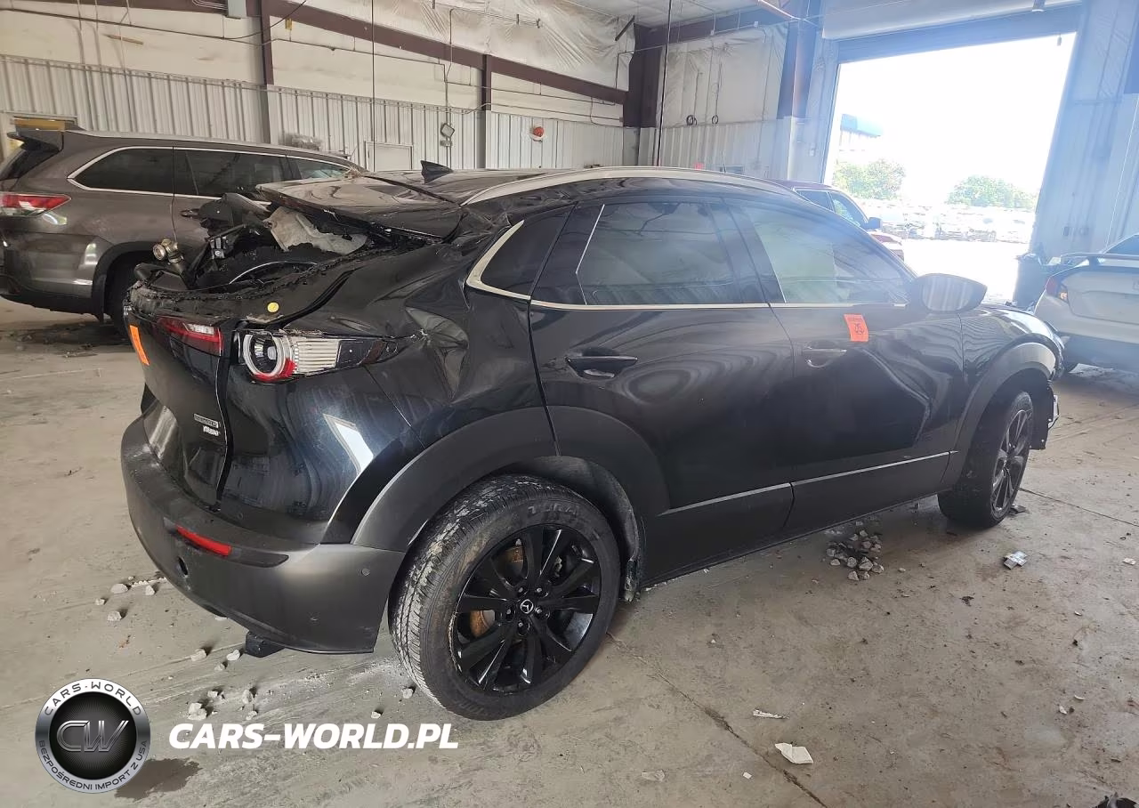 2021 Mazda Cx-30 Premium Plus VIN:3MVDMBEY1MM254060 - 3