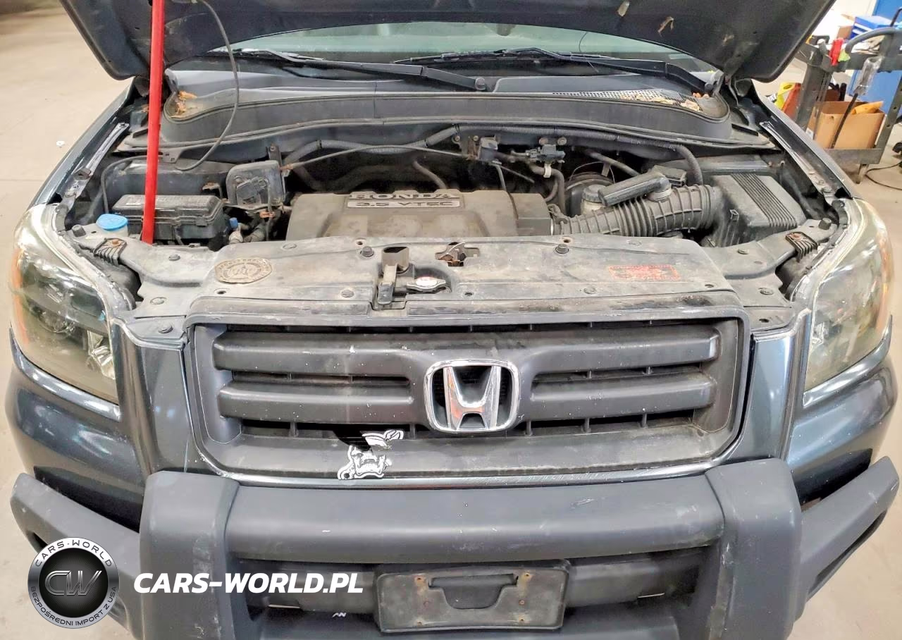 2006 Honda Pilot Ex VIN:5FNYF18676B009515 - 12