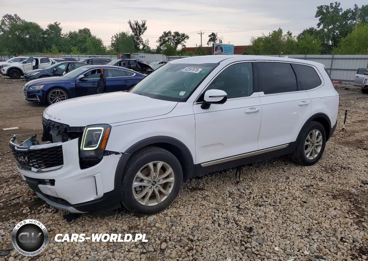 2022 Kia Telluride Lx VIN:5XYP2DHC0NG233991 - 1