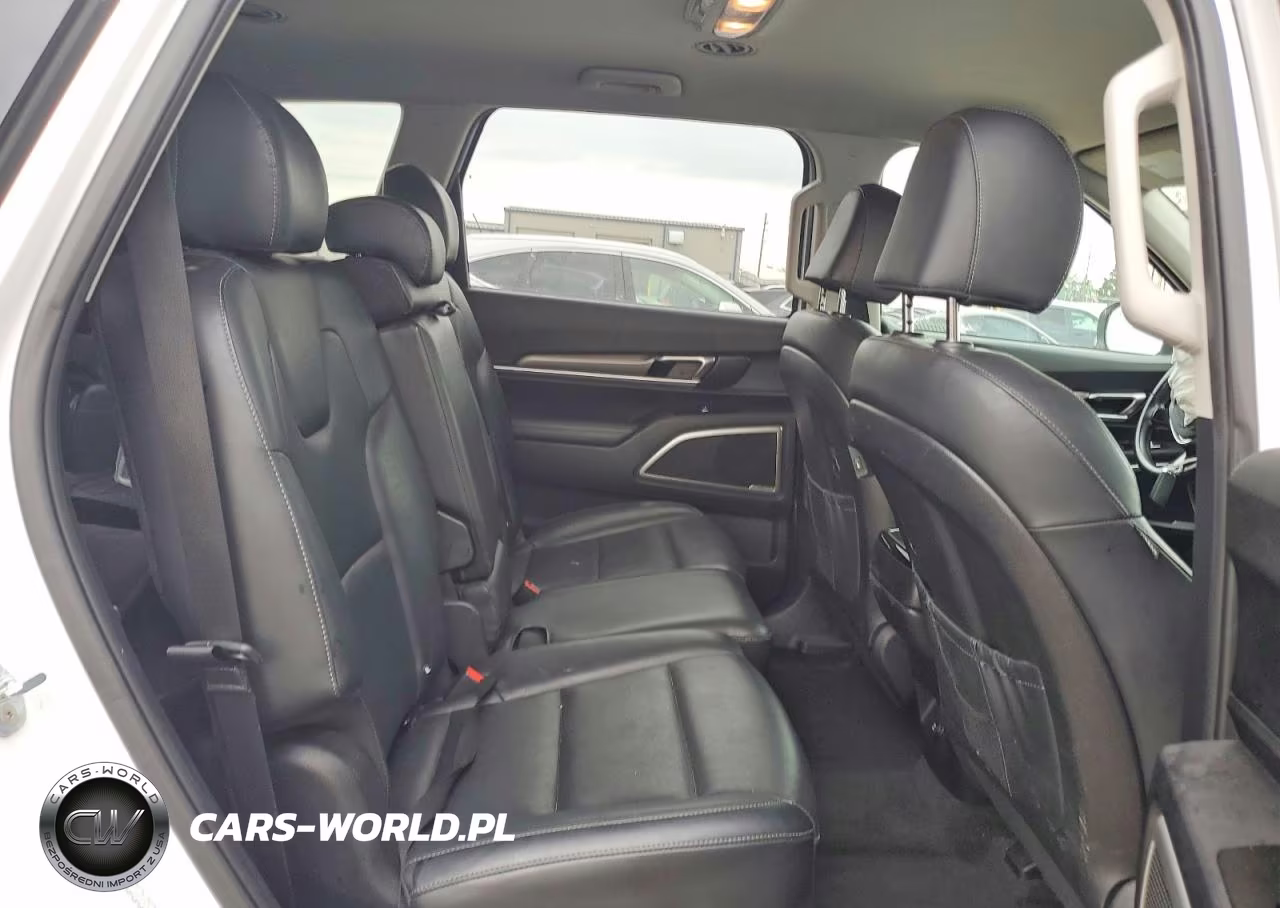 2022 Kia Telluride Lx VIN:5XYP2DHC0NG233991 - 11