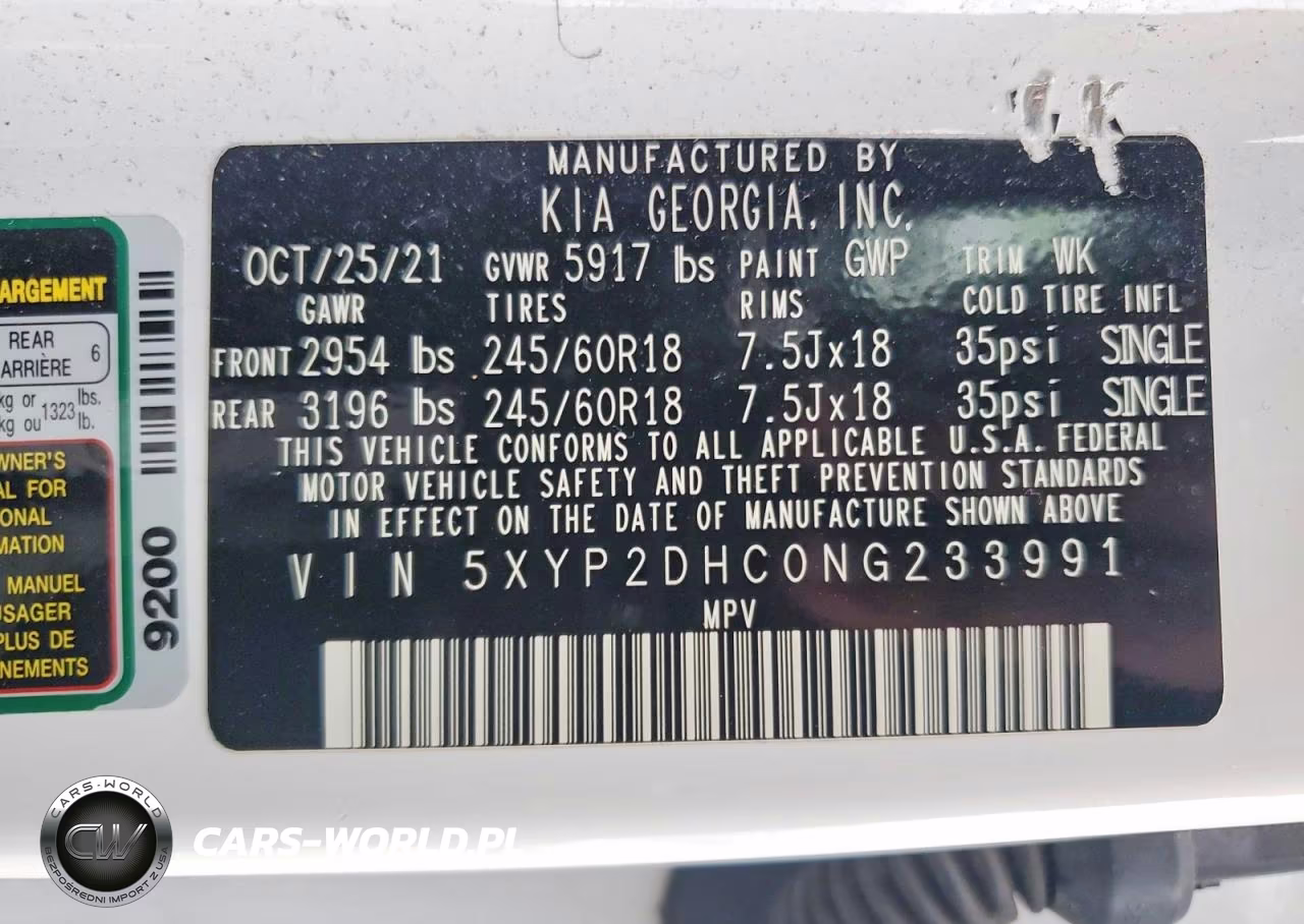 2022 Kia Telluride Lx VIN:5XYP2DHC0NG233991 - 13