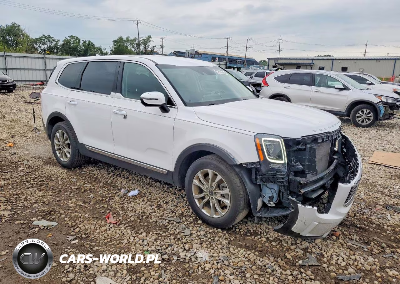 2022 Kia Telluride Lx VIN:5XYP2DHC0NG233991 - 4