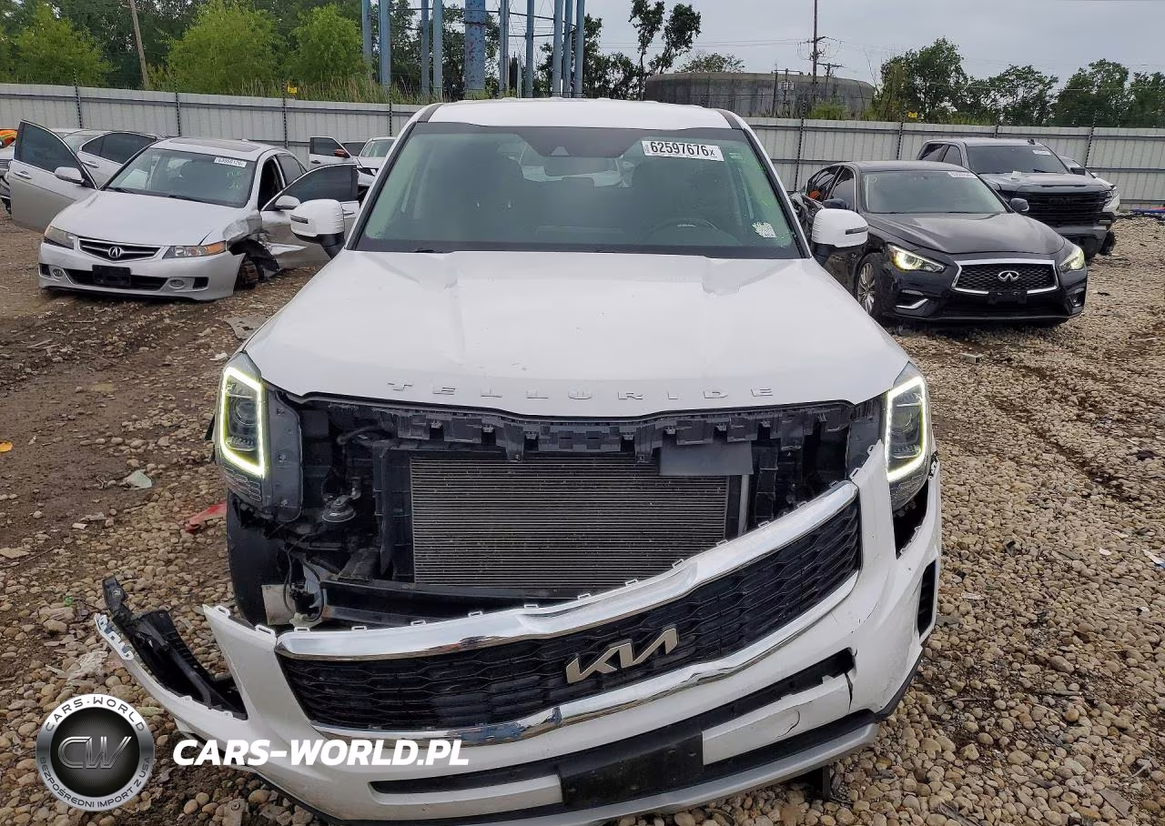 2022 Kia Telluride Lx VIN:5XYP2DHC0NG233991 - 5