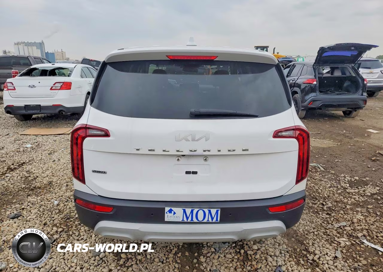2022 Kia Telluride Lx VIN:5XYP2DHC0NG233991 - 6