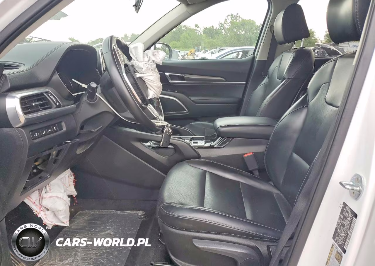 2022 Kia Telluride Lx VIN:5XYP2DHC0NG233991 - 7