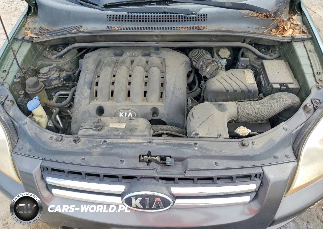 2007 Kia Sportage Lx VIN:KNDJF723577341978 - 12