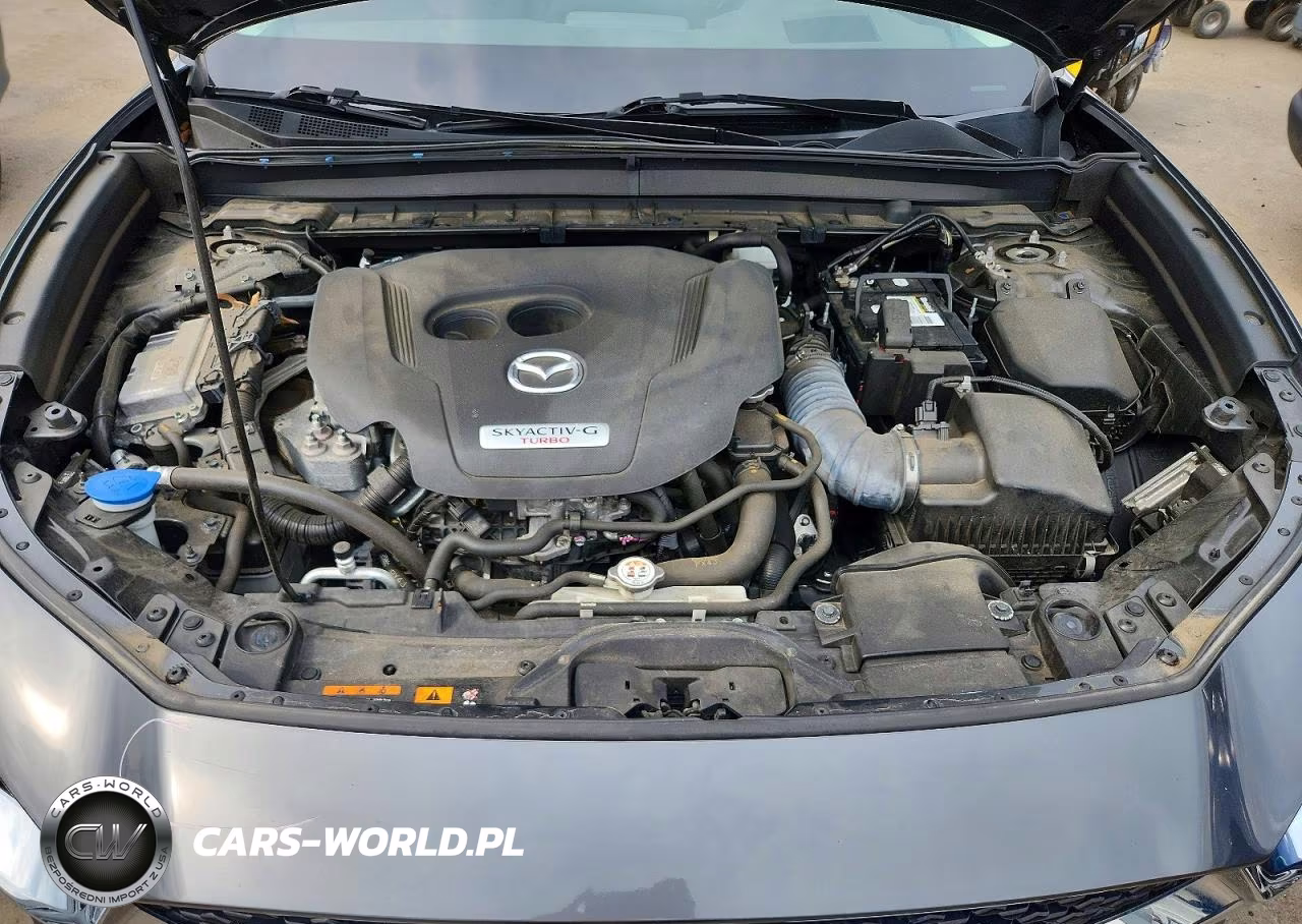 2022 Mazda Cx-30 Premium Plus VIN:3MVDMBEYXNM449768 - 12