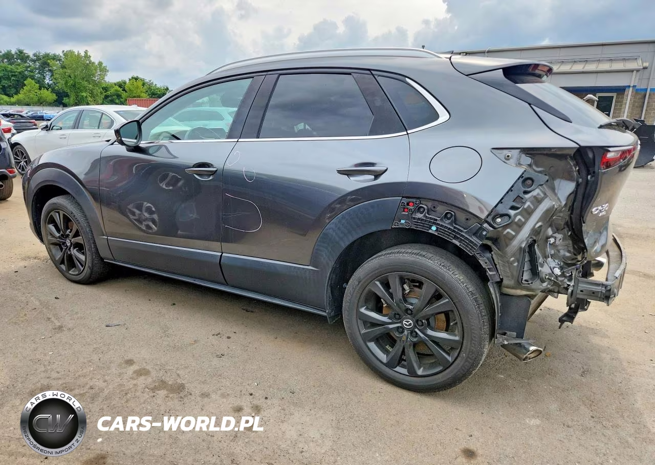 2022 Mazda Cx-30 Premium Plus VIN:3MVDMBEYXNM449768 - 2