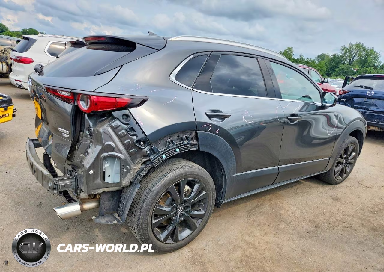 2022 Mazda Cx-30 Premium Plus VIN:3MVDMBEYXNM449768 - 3