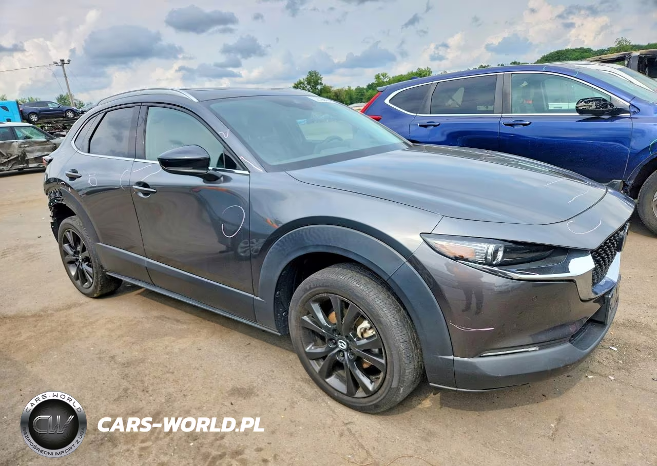 2022 Mazda Cx-30 Premium Plus VIN:3MVDMBEYXNM449768 - 4