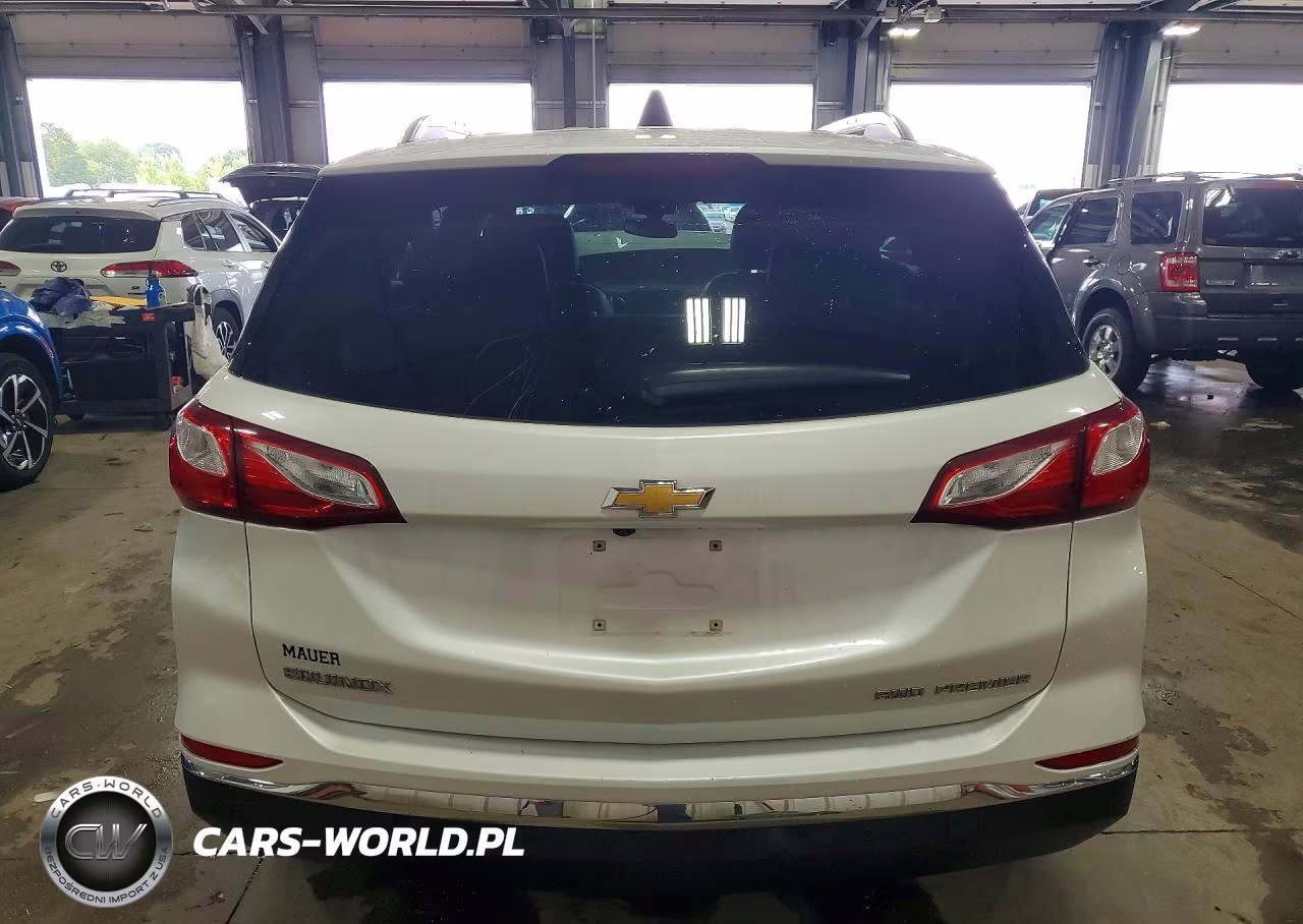 2019 Chevrolet Equinox Premier VIN:2GNAXXEV8K6226754 - 6