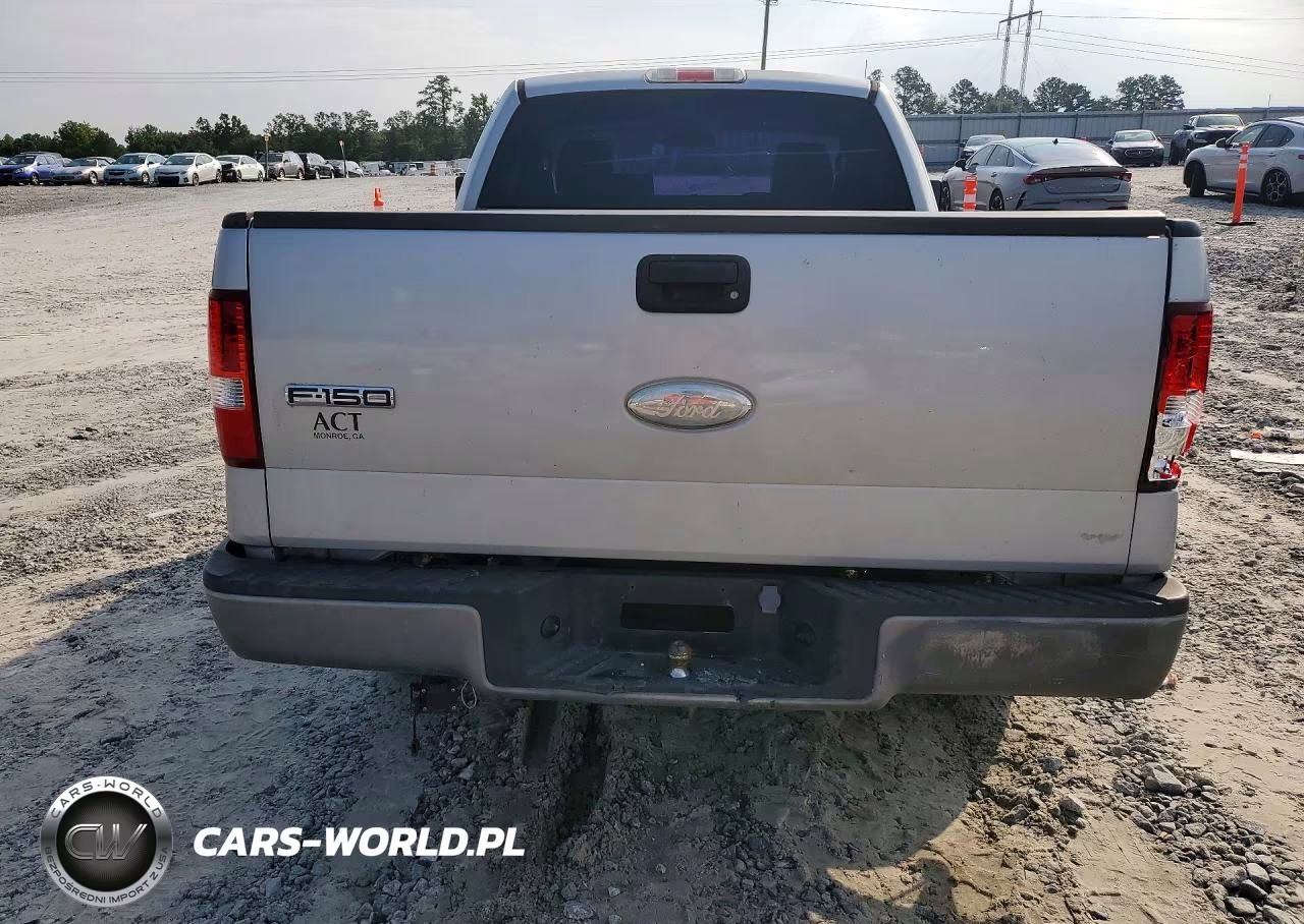 2006 Ford F150 VIN:1FTRF12276NB13675 - 6