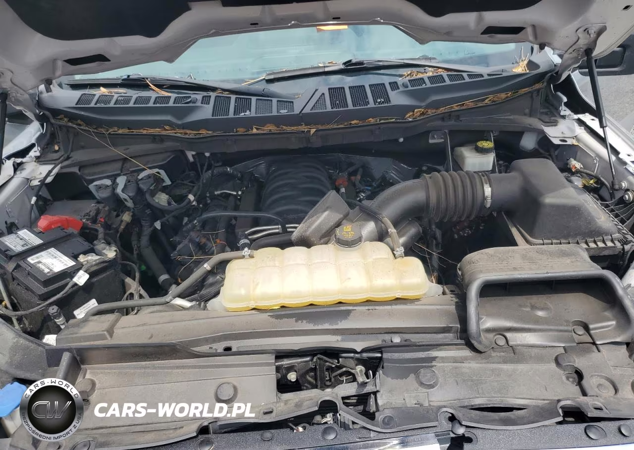 2023 Ford F150 Supercrew VIN:1FTFW1E52PFD02657 - 11