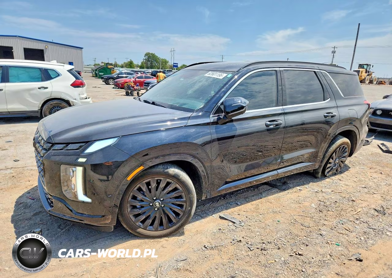 2025 Hyundai Palisade Calligraphy Night Edition VIN:KM8R7DGE2SU928301 - 1
