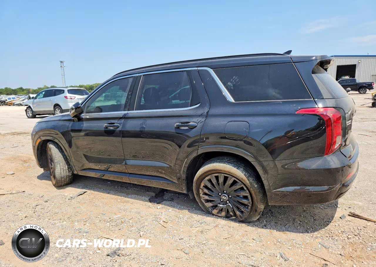2025 Hyundai Palisade Calligraphy Night Edition VIN:KM8R7DGE2SU928301 - 2