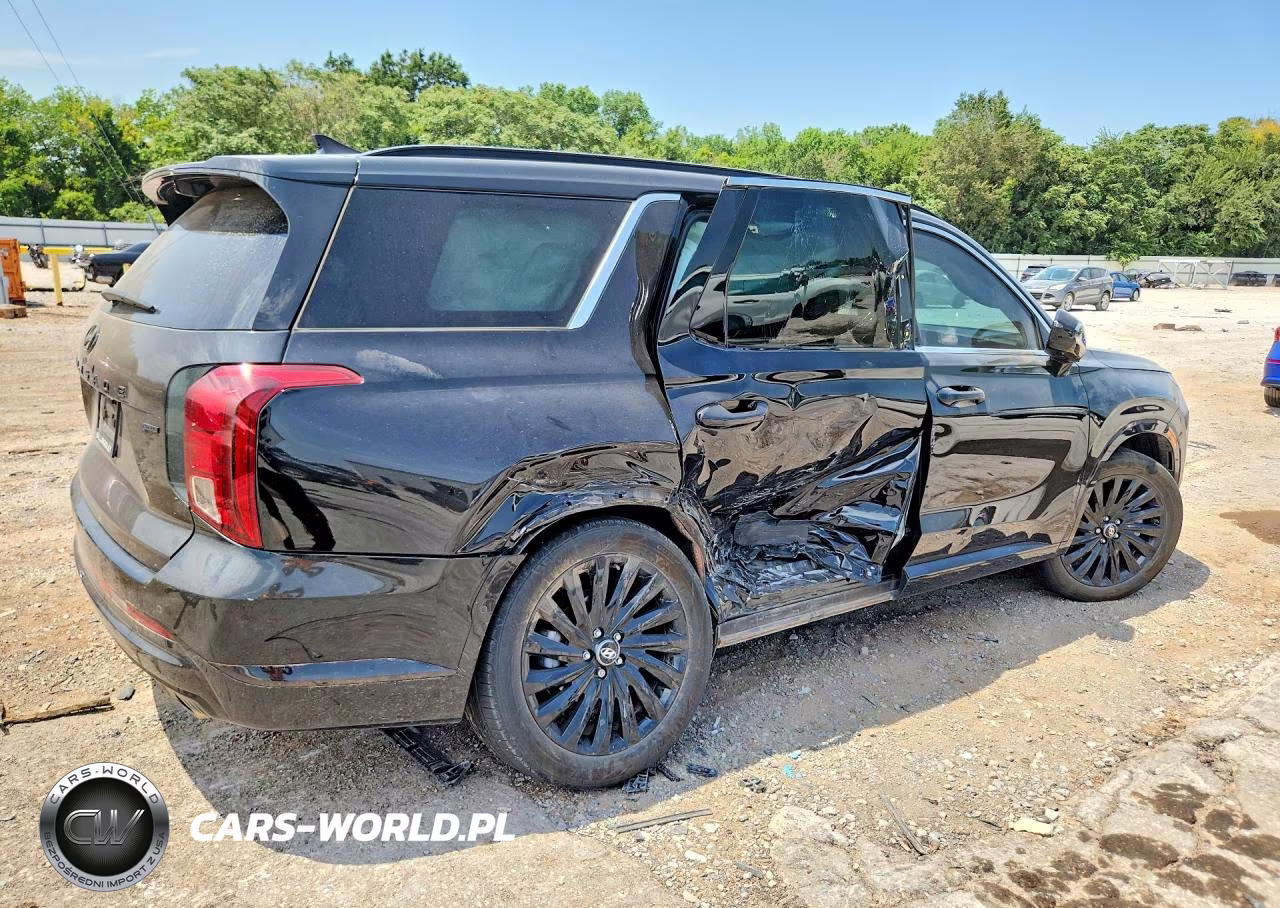 2025 Hyundai Palisade Calligraphy Night Edition VIN:KM8R7DGE2SU928301 - 3
