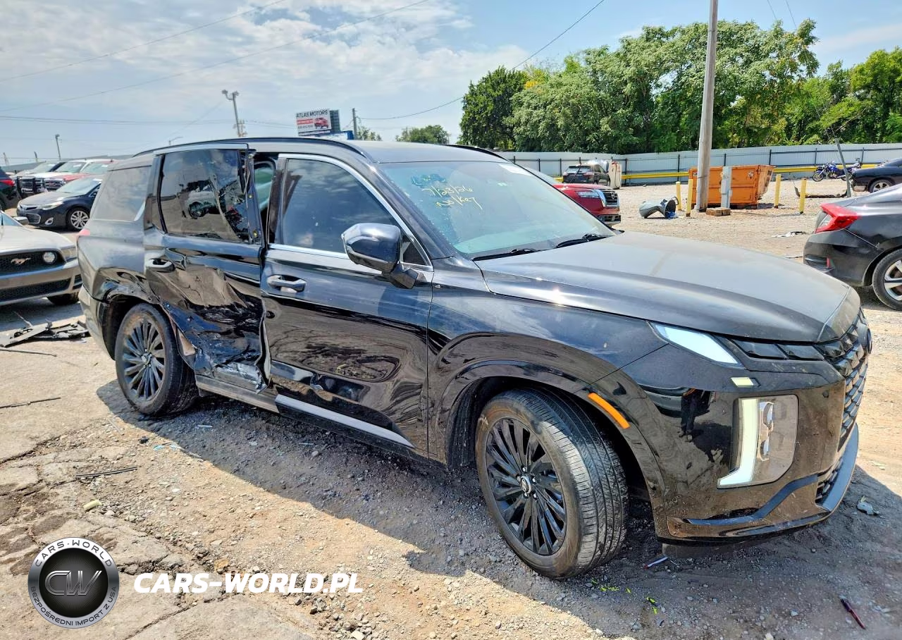 2025 Hyundai Palisade Calligraphy Night Edition VIN:KM8R7DGE2SU928301 - 4