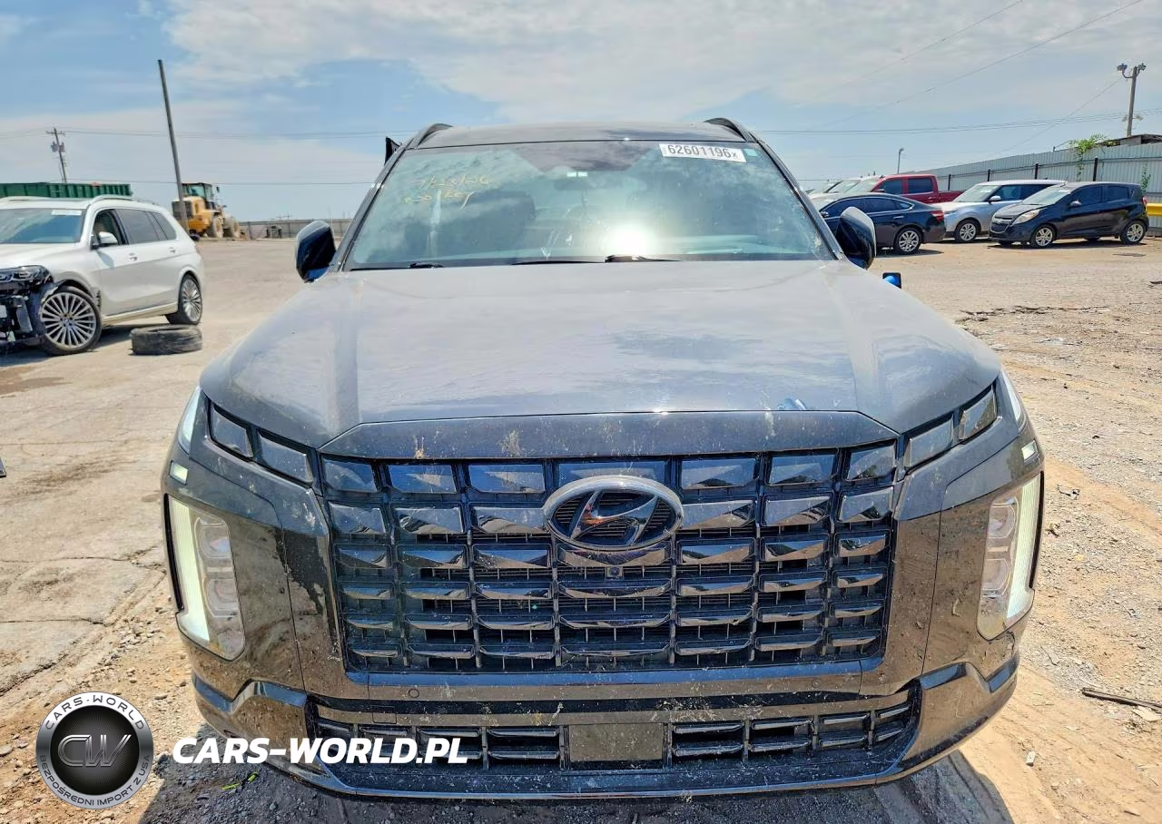 2025 Hyundai Palisade Calligraphy Night Edition VIN:KM8R7DGE2SU928301 - 5