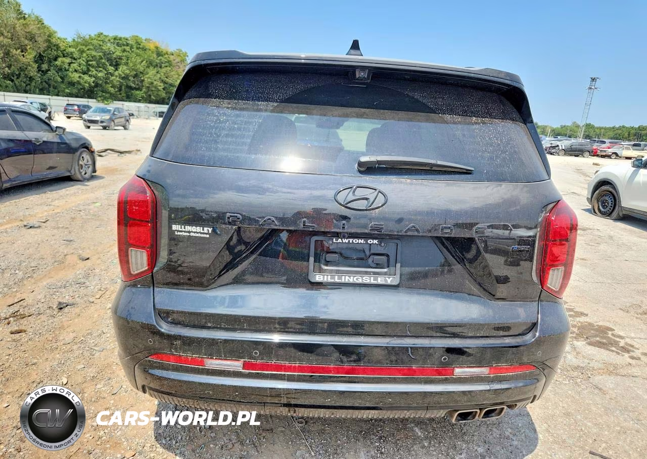 2025 Hyundai Palisade Calligraphy Night Edition VIN:KM8R7DGE2SU928301 - 6