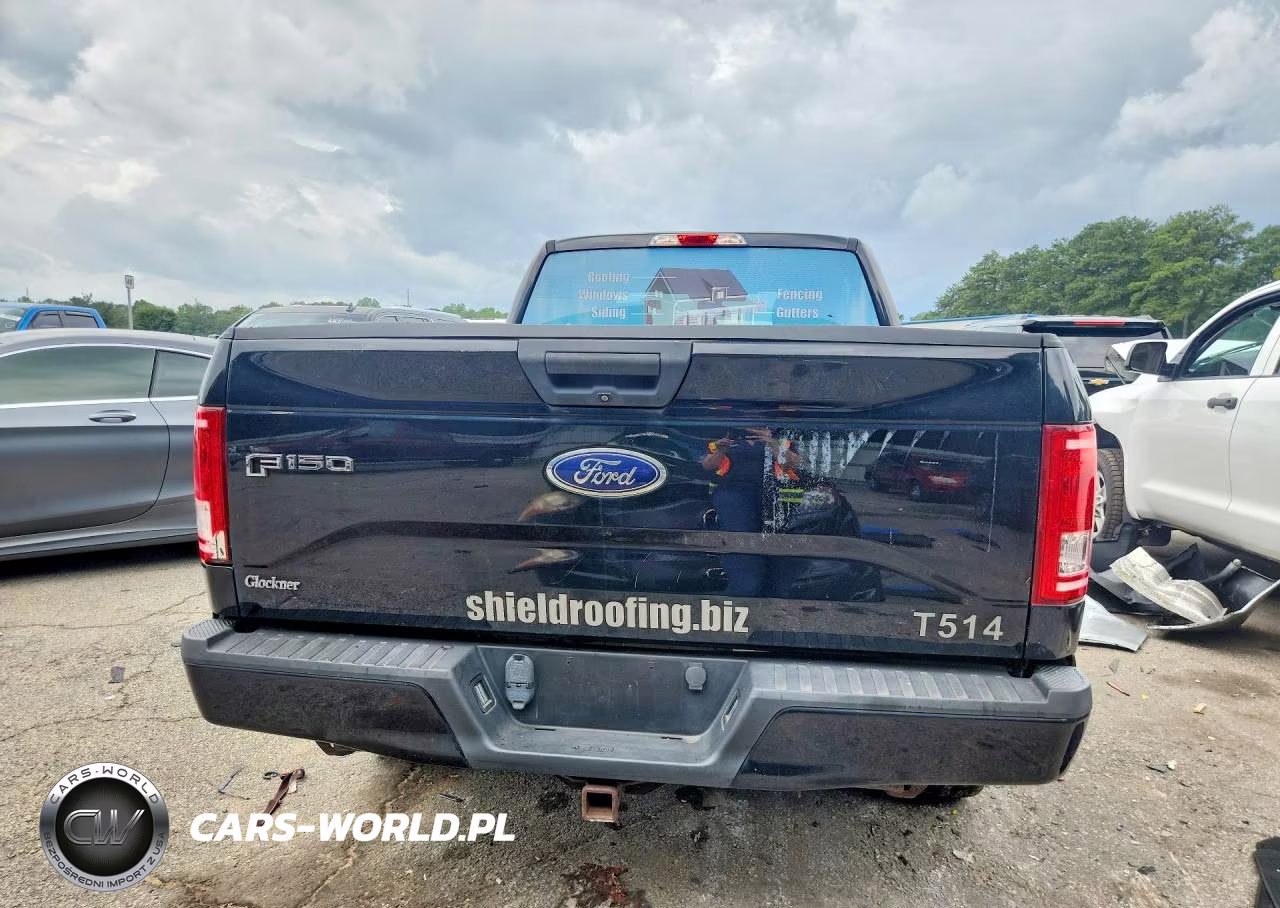 2017 Ford F-150 Xl VIN:1FTEX1EP1HFA95867 - 6