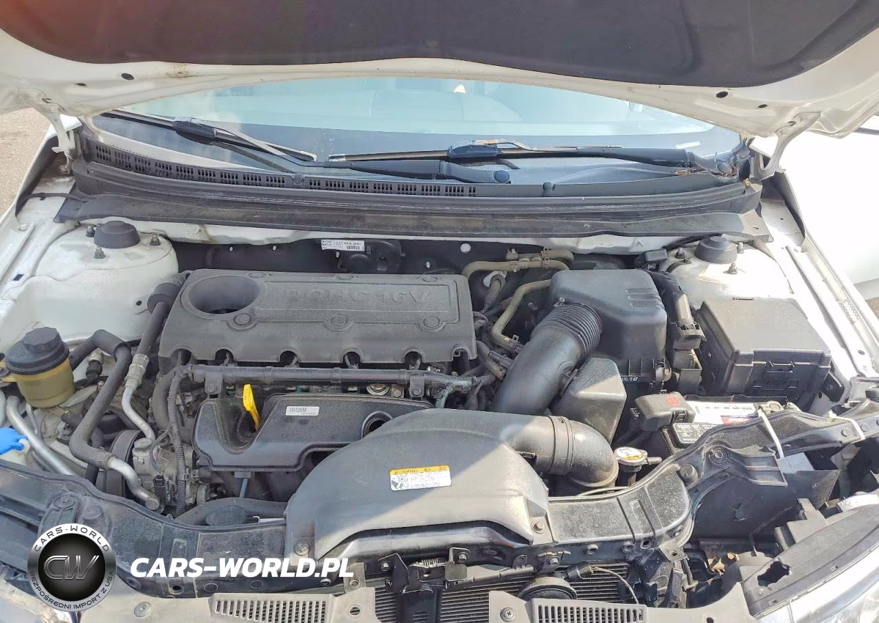 2012 Kia Forte5 Ex VIN:KNAFU5A27C5635197 - 11