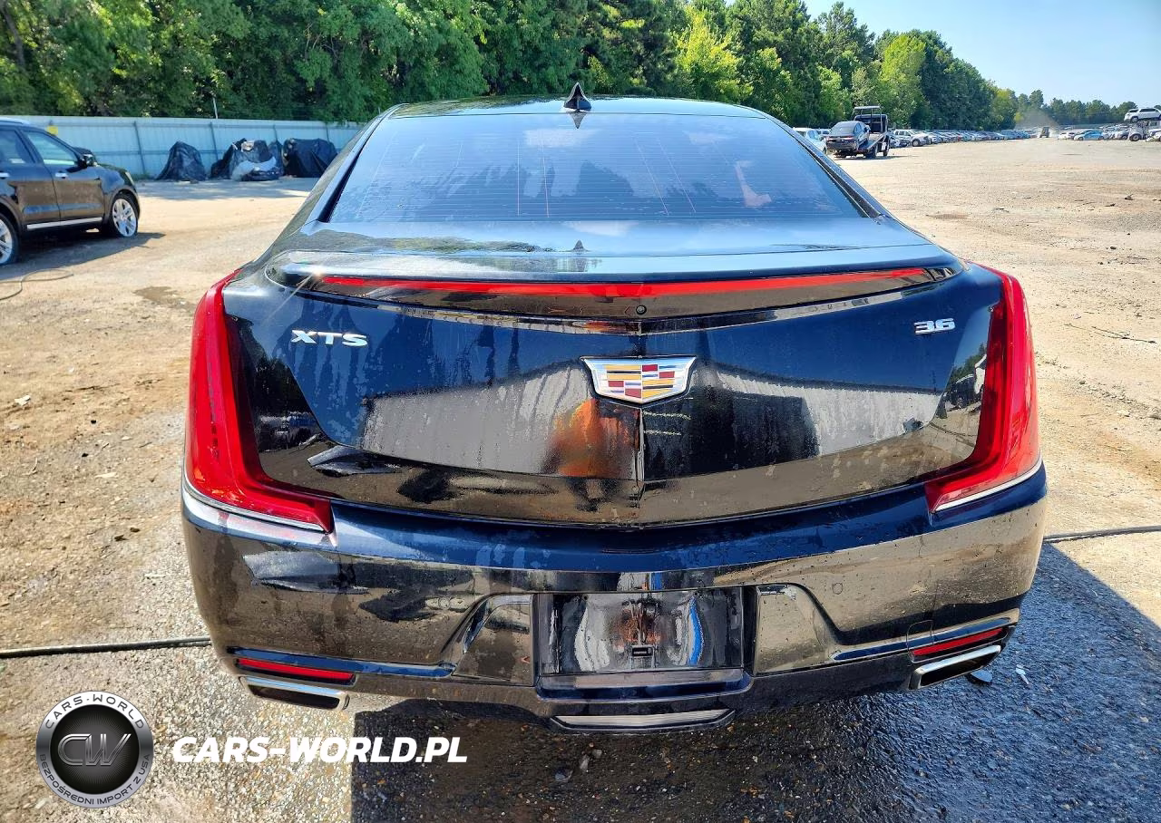 2019 Cadillac Xts Luxury VIN:2G61M5S3XK9111597 - 6