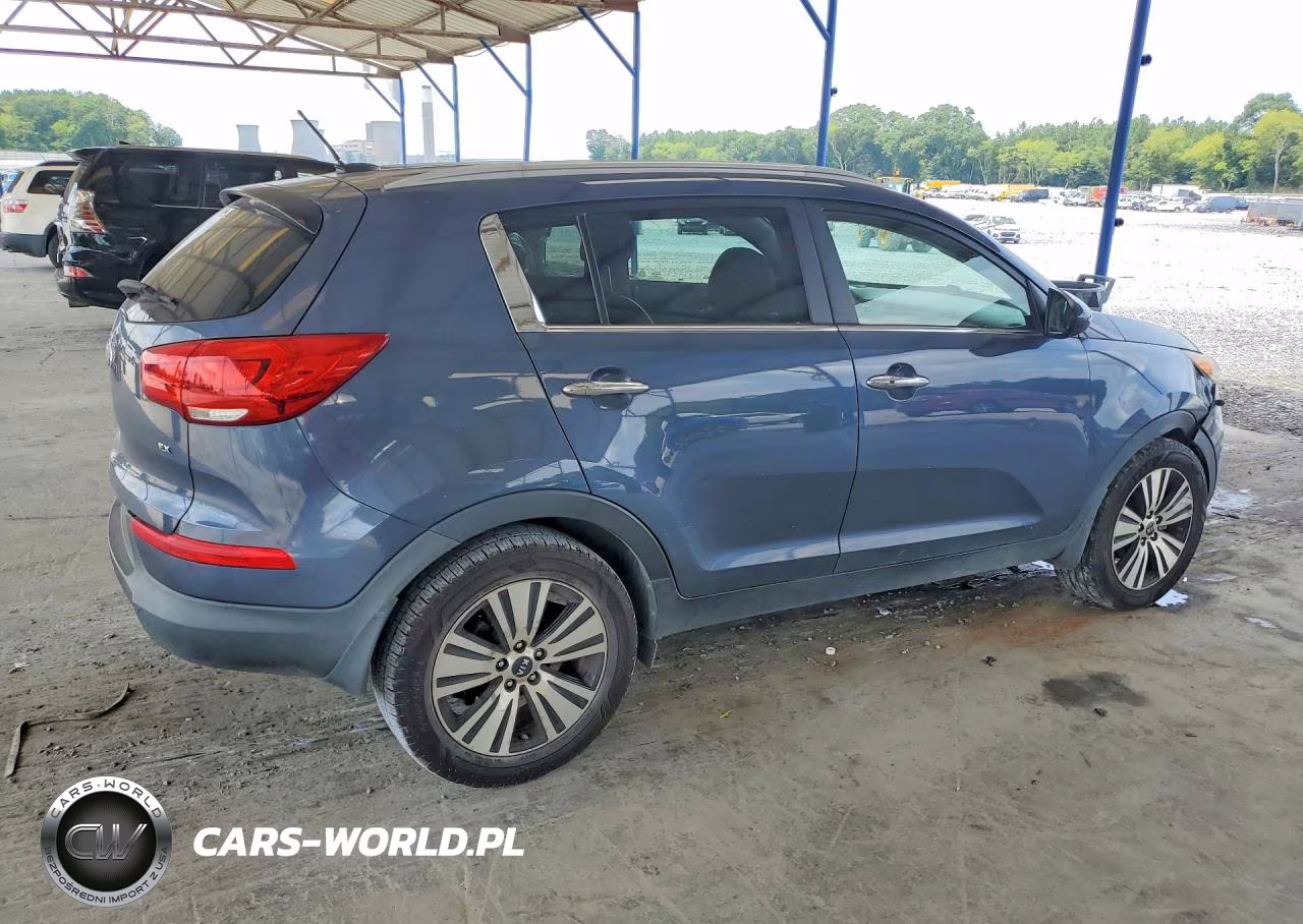 2016 Kia Sportage Ex VIN:KNDPC3AC3G7874554 - 3