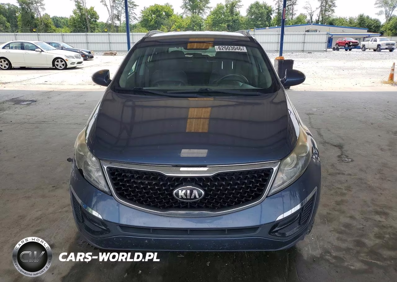 2016 Kia Sportage Ex VIN:KNDPC3AC3G7874554 - 5