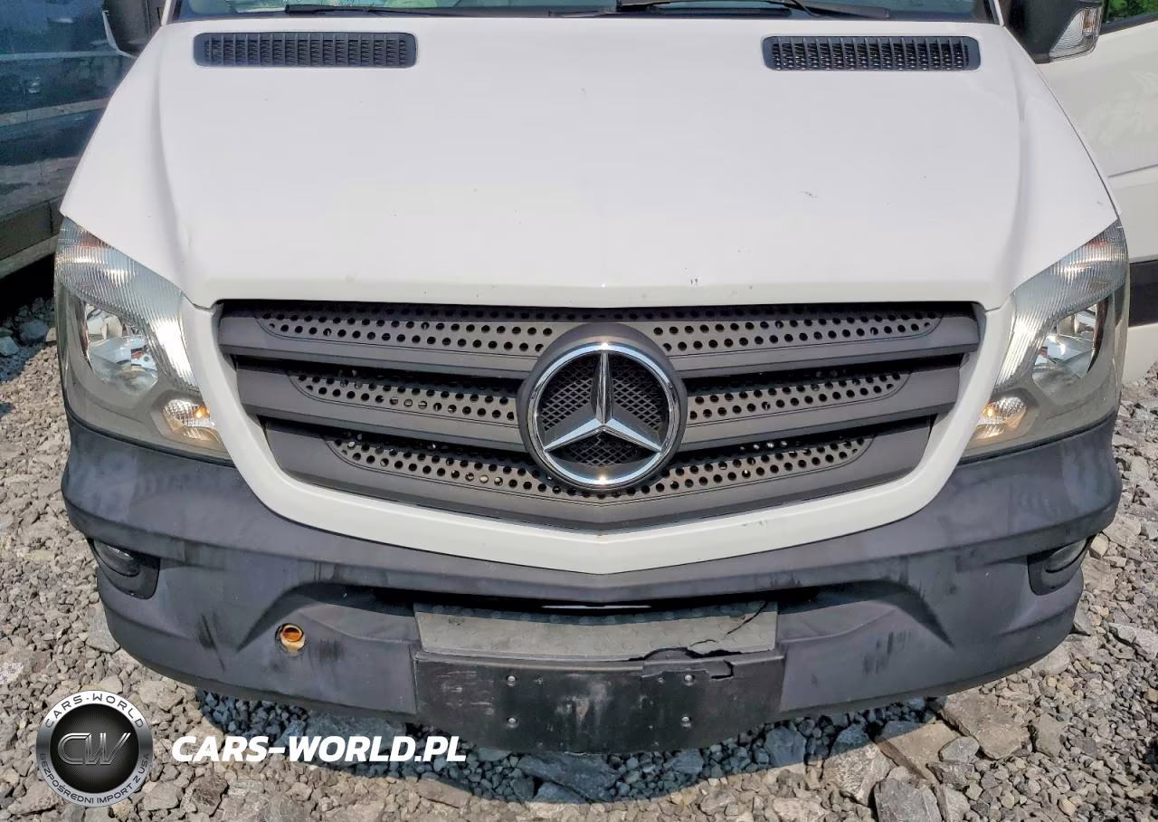 2017 Mercedes-Benz Sprinter 3500 VIN:WD3PF1CD7HP380212 - 12