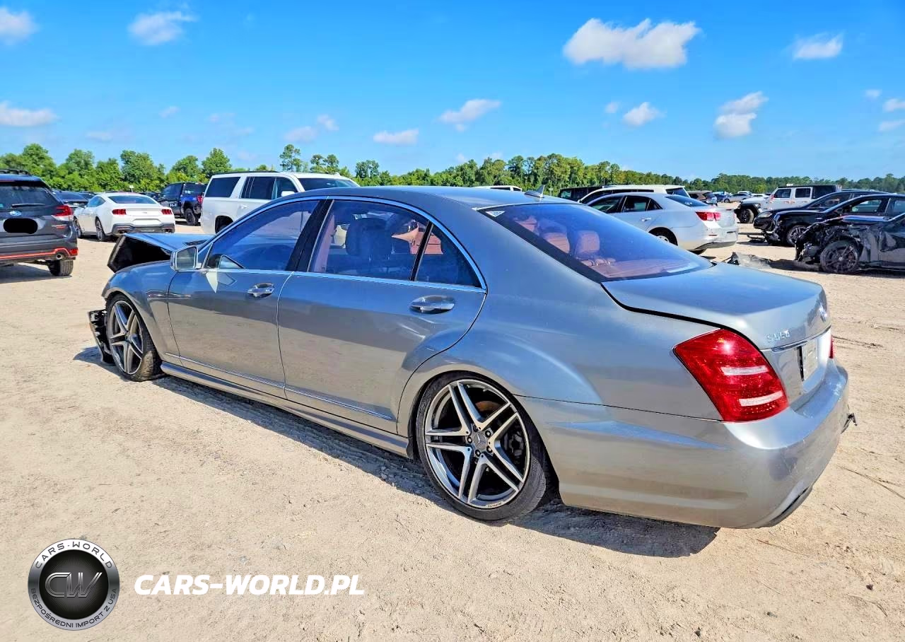 2010 Mercedes-Benz S 550 VIN:WDDNG7BBXAA296316 - 2