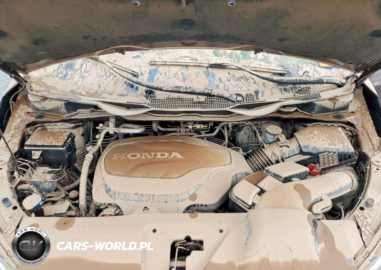 2020 Honda Odyssey Exl VIN:5FNRL6H75LB024318 - 12